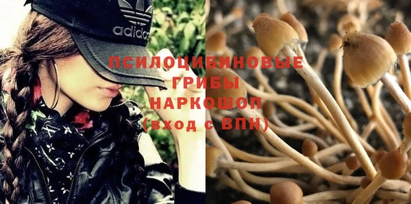 не бодяженный Инта