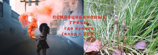 крисы Иннополис