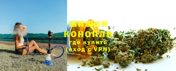 сатива Каменногорск
